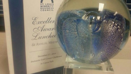 Diversity award - Institution of the Year award