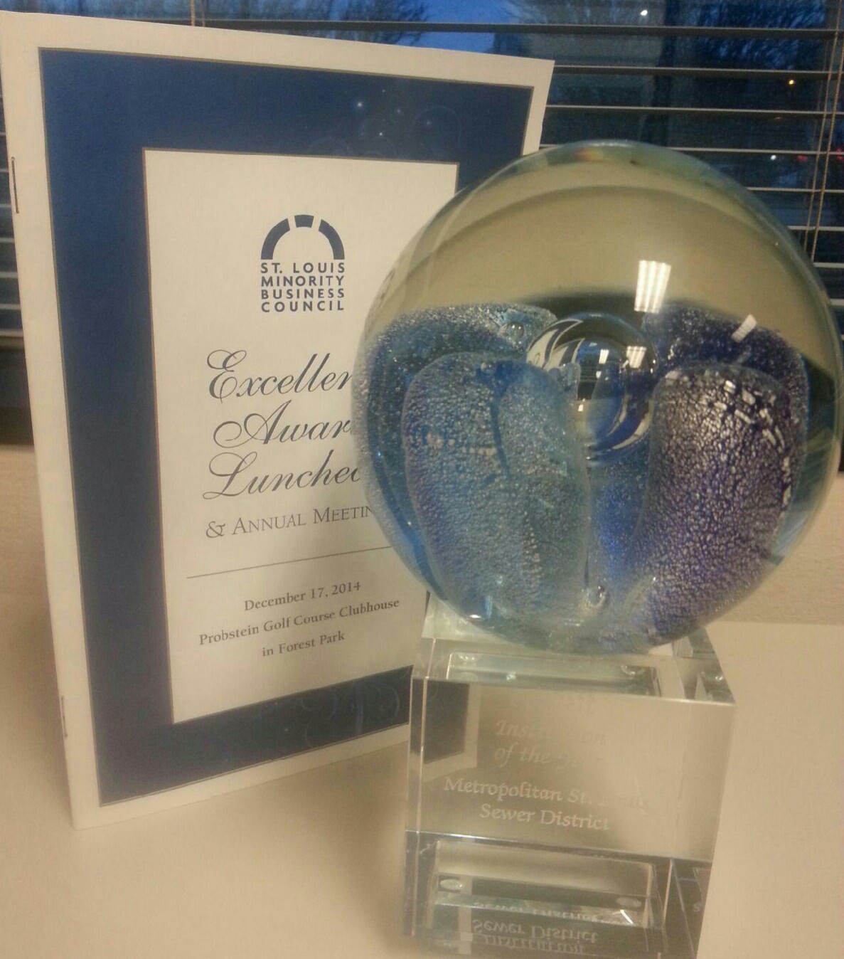 Diversity award - Institution of the Year award