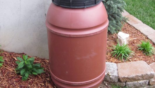 Rain Barrel