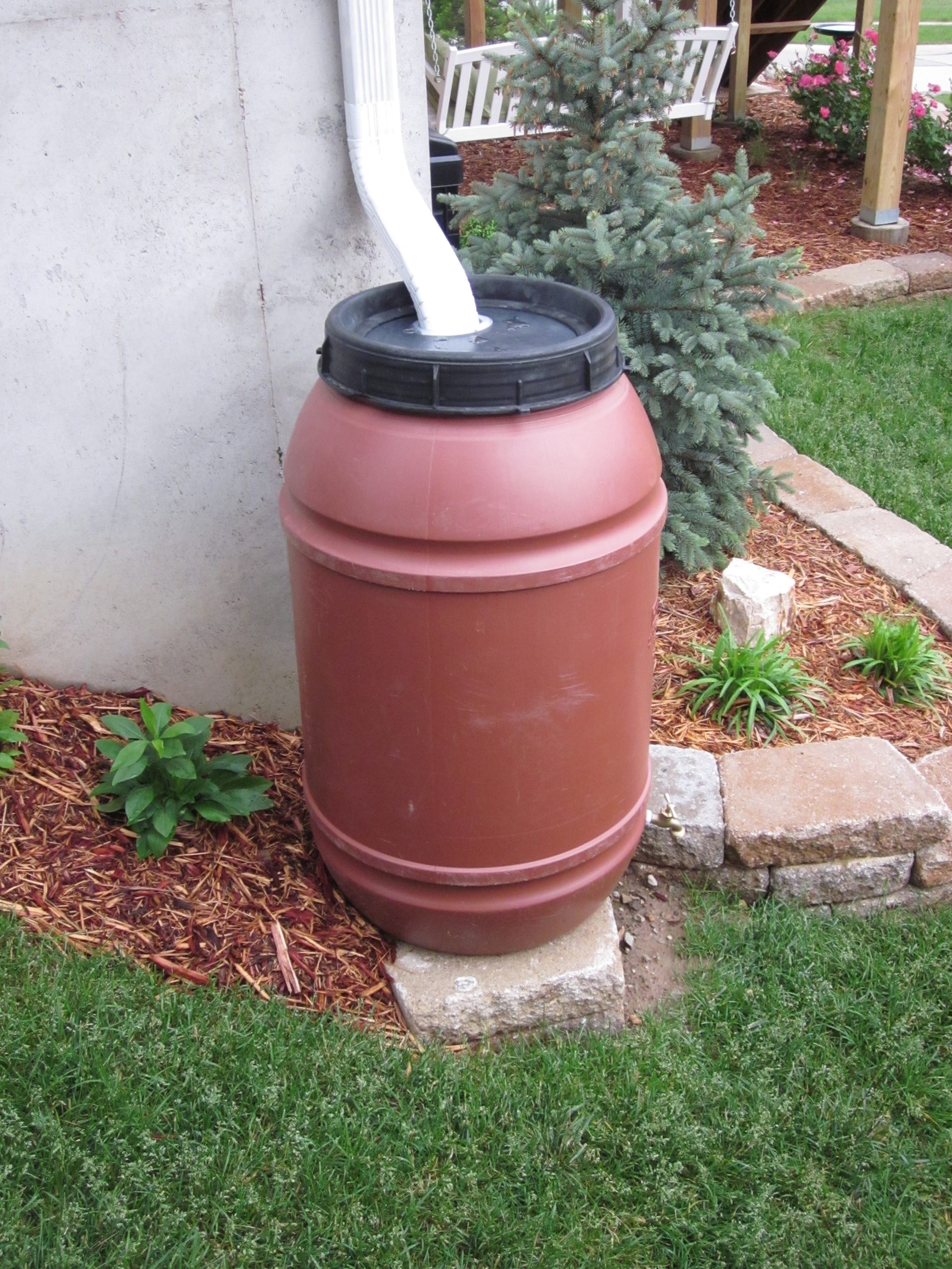 Rain Barrel