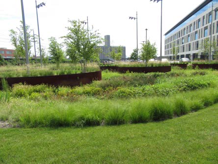 Rainscaping Large Scale Grants Project