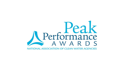 msd peak