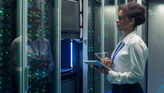 MSD Information Technology